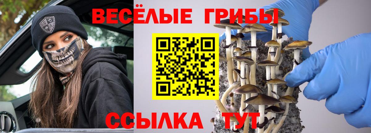 Псилоцибиновые грибы GOLDEN TEACHER Тольятти